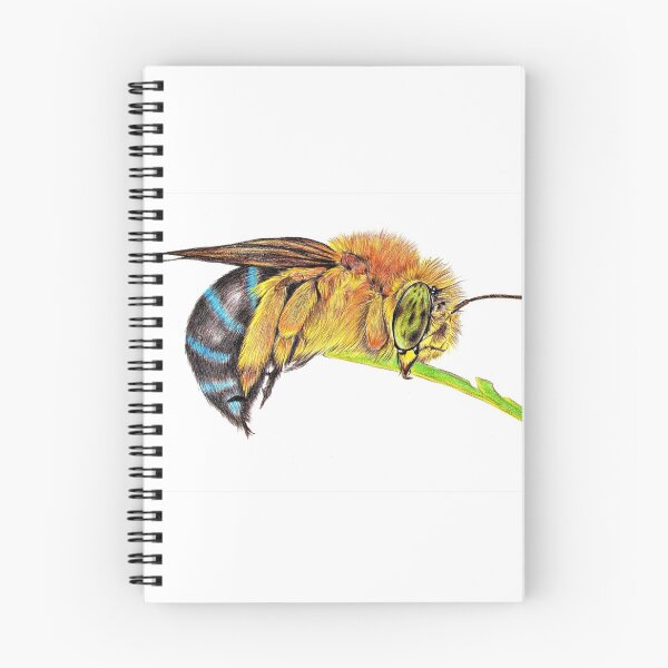 Item preview, Blue Banded Bee designed and sold by Linda  Hammond.