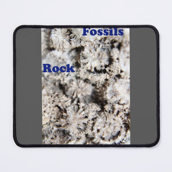 Item preview, "Fossils Rock" macro photography designed and sold by themuseinspired.