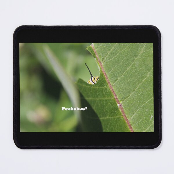 Item preview, Peekaboo! Close up monarch caterpillar designed and sold by themuseinspired.