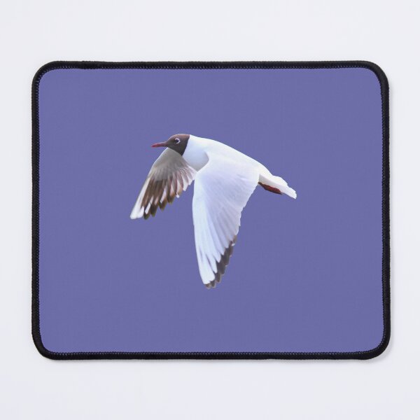Item preview, Mouette rieuse sur fond ultra violet designed and sold by AHELENE.