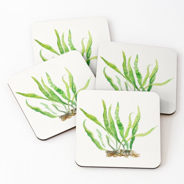 Item preview, Aquarium Plants Series Java Fern designed and sold by yodelbat.