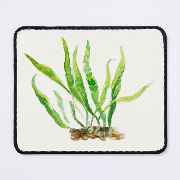 Item preview, Aquarium Plants Series Java Fern designed and sold by yodelbat.