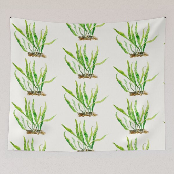 Item preview, Aquarium Plants Series Java Fern designed and sold by yodelbat.