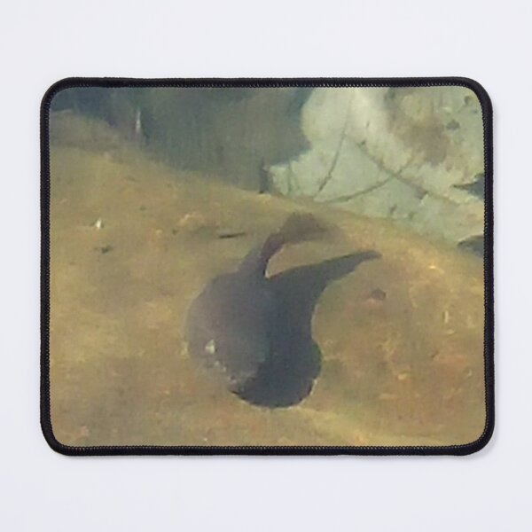 Item preview, Tadpole designed and sold by BellsPainting.