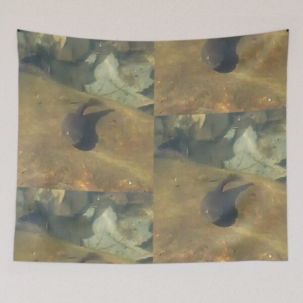 Item preview, Tadpole designed and sold by BellsPainting.