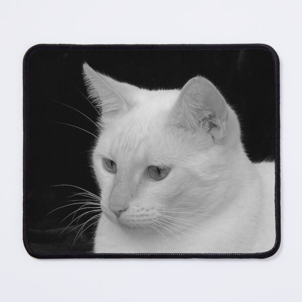 Item preview, Precious Siamese BW designed and sold by Elisabeth Lucas.