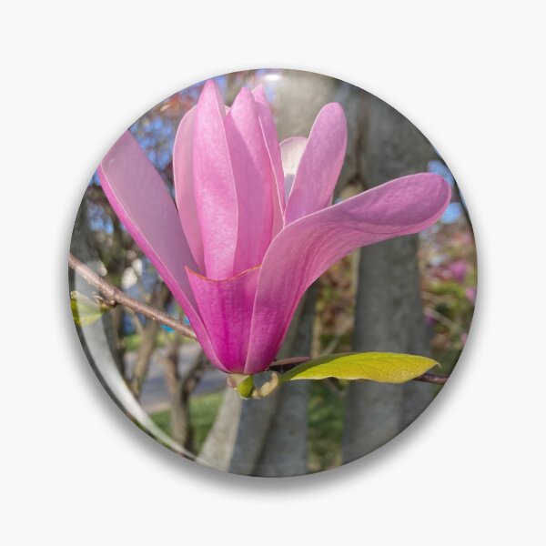 Item preview, Tulip Tree designed and sold by Amanda1775.