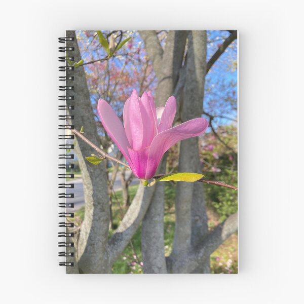 Item preview, Tulip Tree designed and sold by Amanda1775.