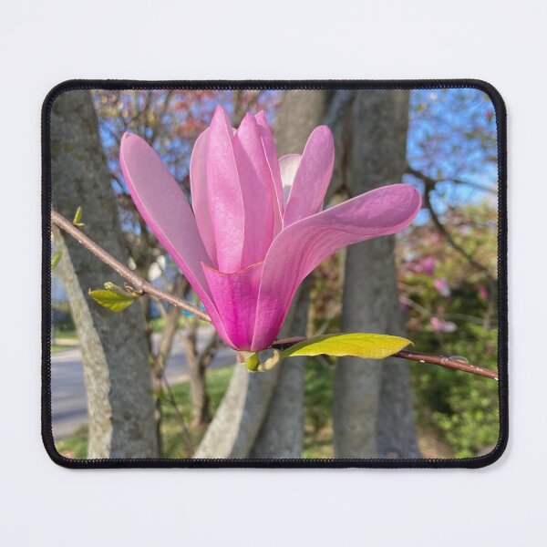 Item preview, Tulip Tree designed and sold by Amanda1775.