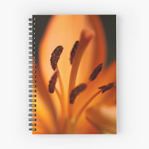 Item preview, fire lily designed and sold by codaimages.