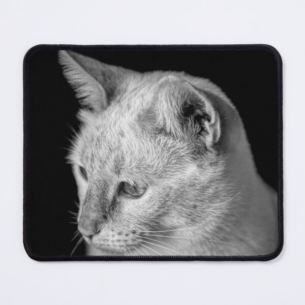 Item preview, Gorgeous Flame Point Siamese BW designed and sold by Elisabeth Lucas.