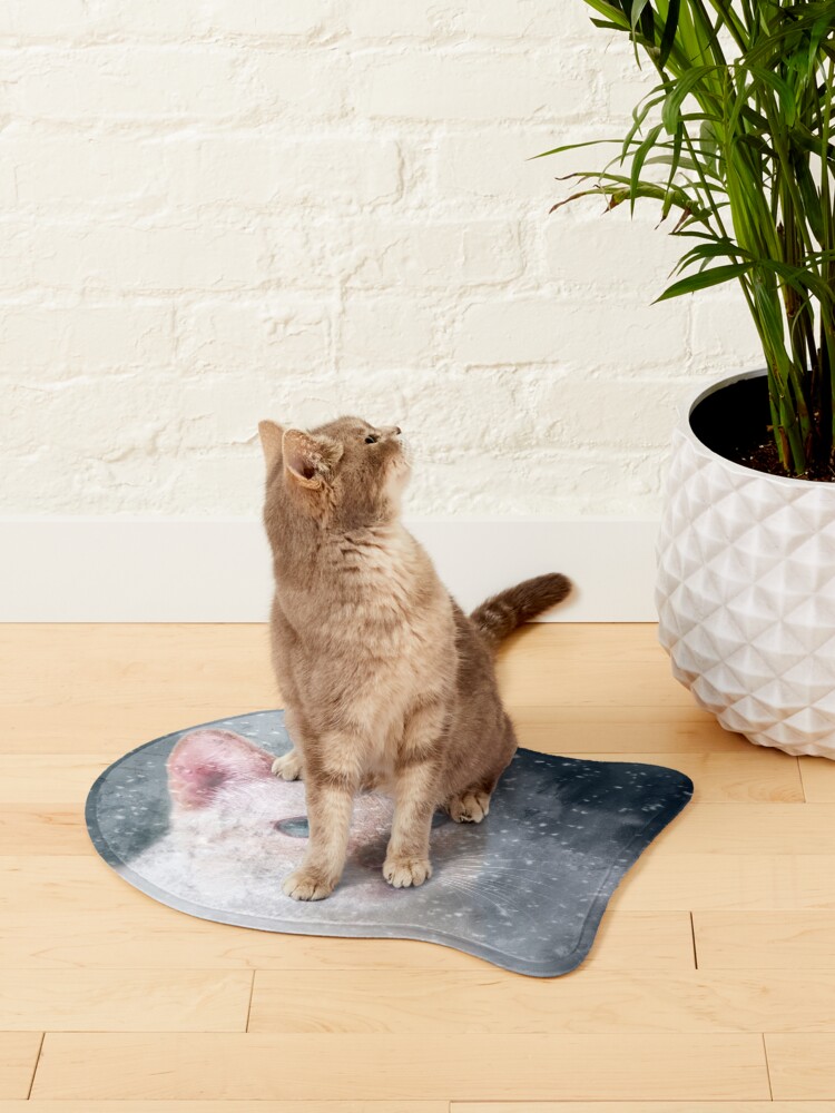 Alternate view of Counting Snowflakes Pet Mat