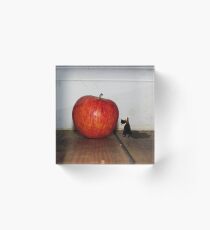 Fairytale photography Acrylic Block