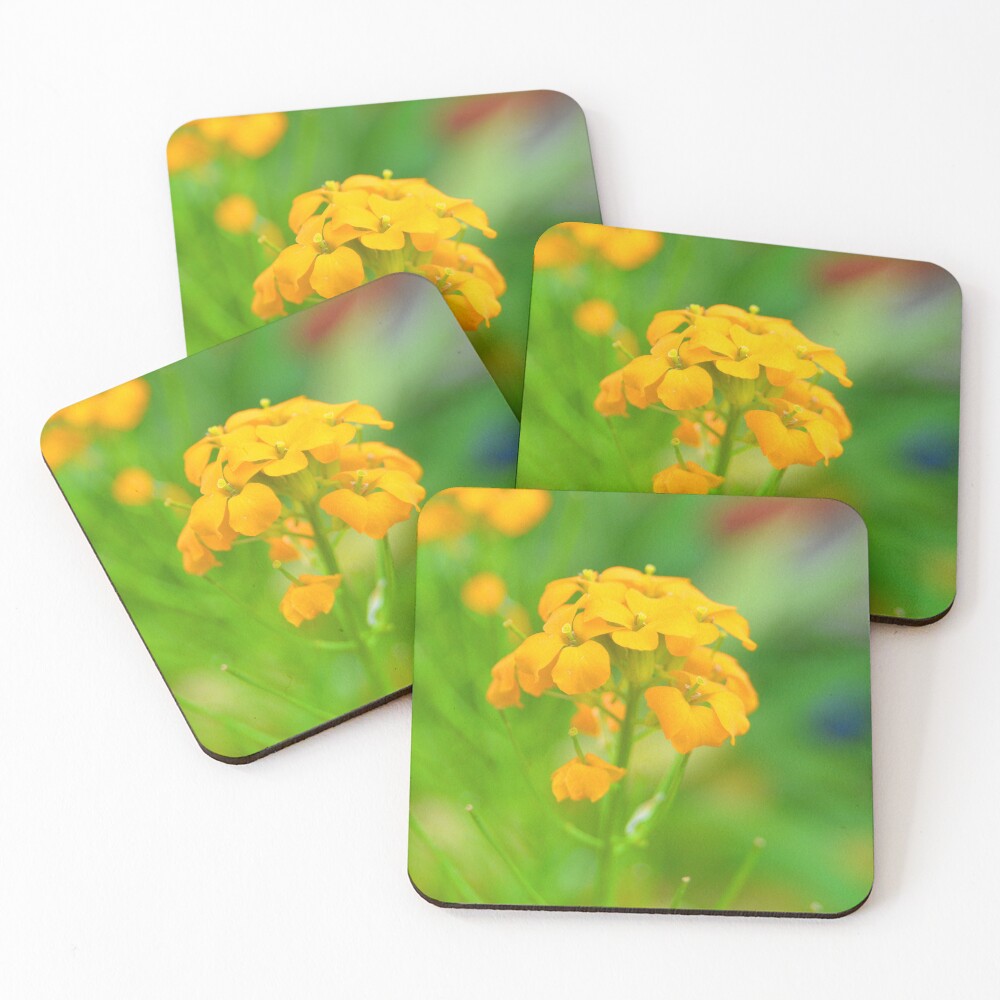 Item preview, Coasters (Set of 4) designed and sold by LensationalPS.