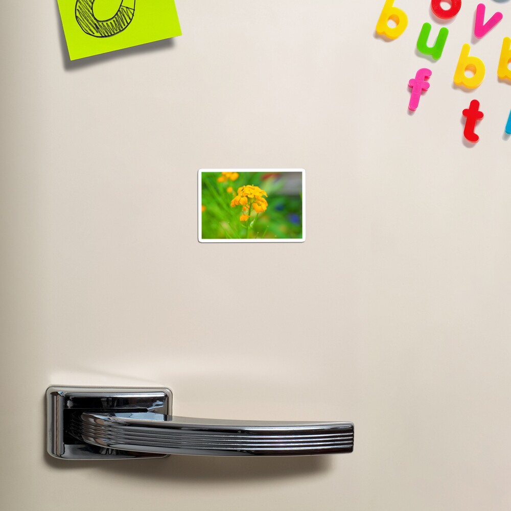 Item preview, Magnet designed and sold by LensationalPS.