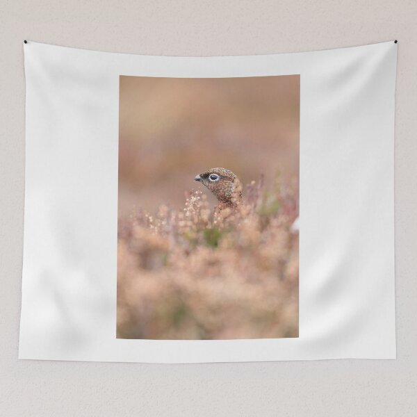 Item preview, Female Red Grouse designed and sold by chanonry.