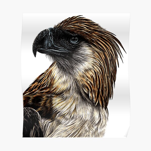 Eagle Tribal Tattoo design is a powerful and majestic symbol of strength  courage and freedom 21337687 Vector Art at Vecteezy