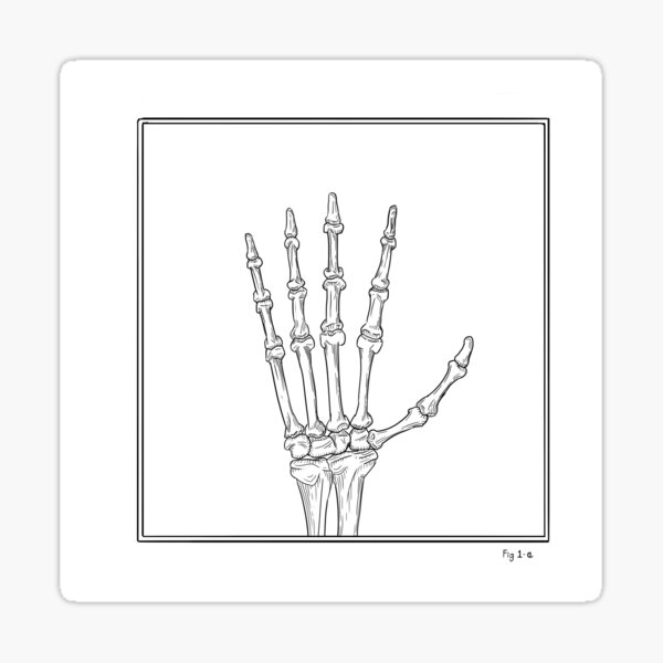 Hand Study - Fig 1-a Sticker