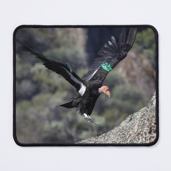 Item preview, Condor #726 -- Little Stinker designed and sold by Anthony Brewer.