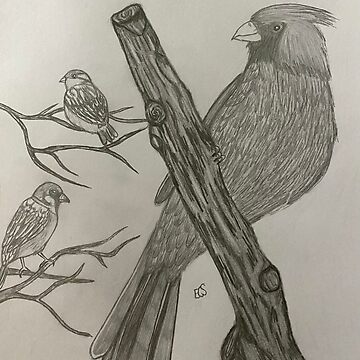 Artwork thumbnail, Backyard Companions by ecsartwork