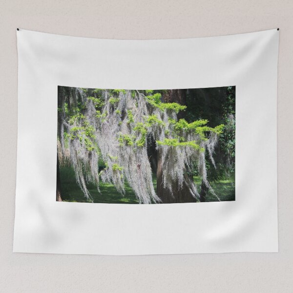 Item preview, Spanish Moss Heart designed and sold by Cynthia48.