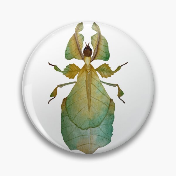 Item preview, Watercolor Malaysian Leaf Insect Illustration  designed and sold by NikaIllustrates.