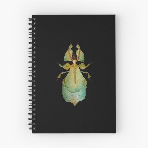 Item preview, Watercolor Malaysian Leaf Insect Illustration  designed and sold by NikaIllustrates.