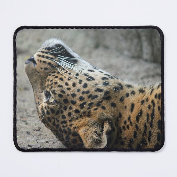 Item preview, Have You Ever Had One Of Those Days, Where You Just Can't Get Out Of Bed? designed and sold by LeanneAllen.