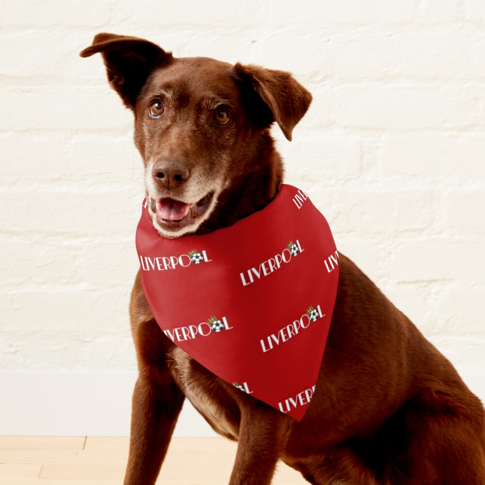 Liverpool sales dog scarf