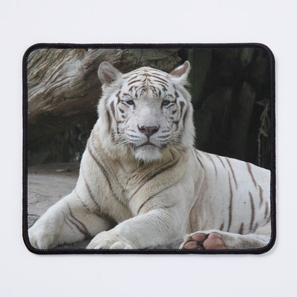 Item preview, White Tiger 3 designed and sold by LeanneAllen.
