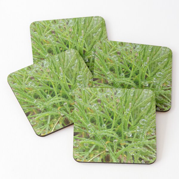 Item preview, Grass with water drops designed and sold by SilviPavlova.