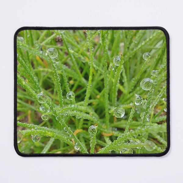Item preview, Grass with water drops designed and sold by SilviPavlova.
