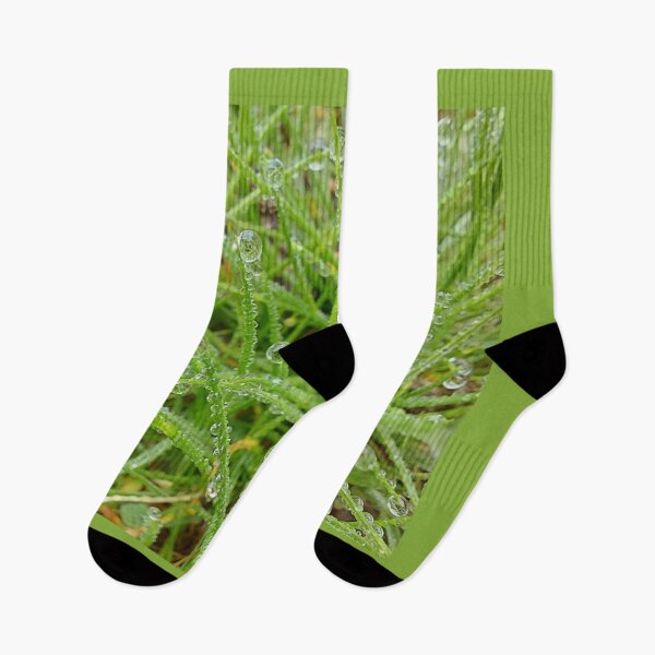Item preview, Grass with water drops designed and sold by SilviPavlova.