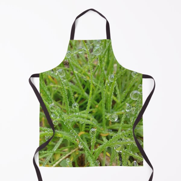 Aperçu de l'œuvre Herbe avec des gouttes d'eau créée et vendue par SilviPavlova.