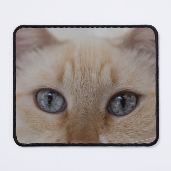 Item preview, Siamese Cat Eyes designed and sold by Elisabeth Lucas.
