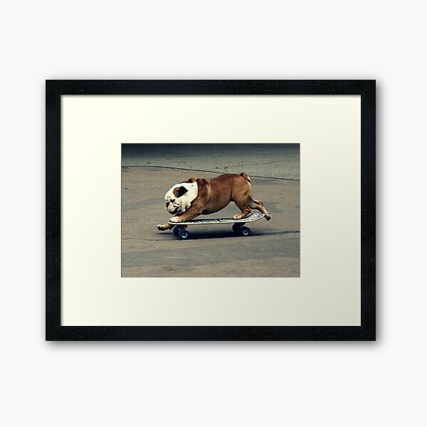 Artikel-Vorschau von Englisch Bulldog Skateboarding, designt und verkauft von Wolfy06.