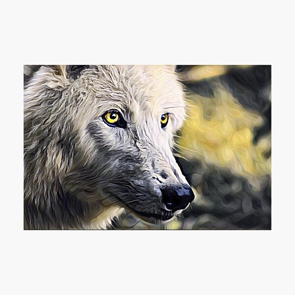 White Gold Wolf Photographic Print
