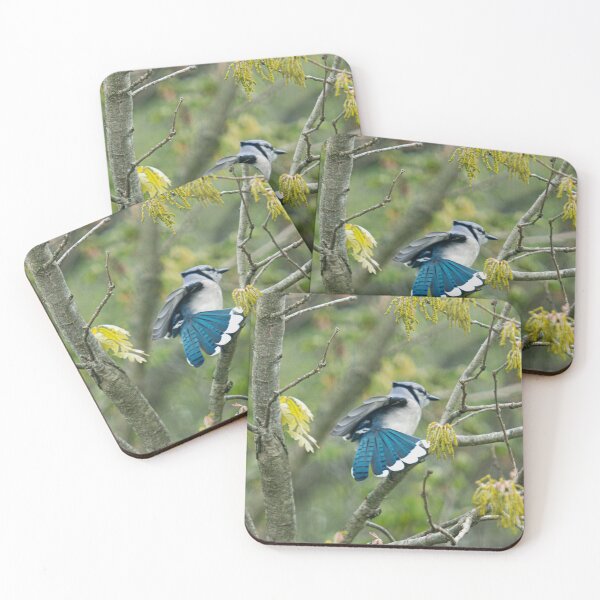 Item preview, BlueJay designed and sold by Lauren1235.