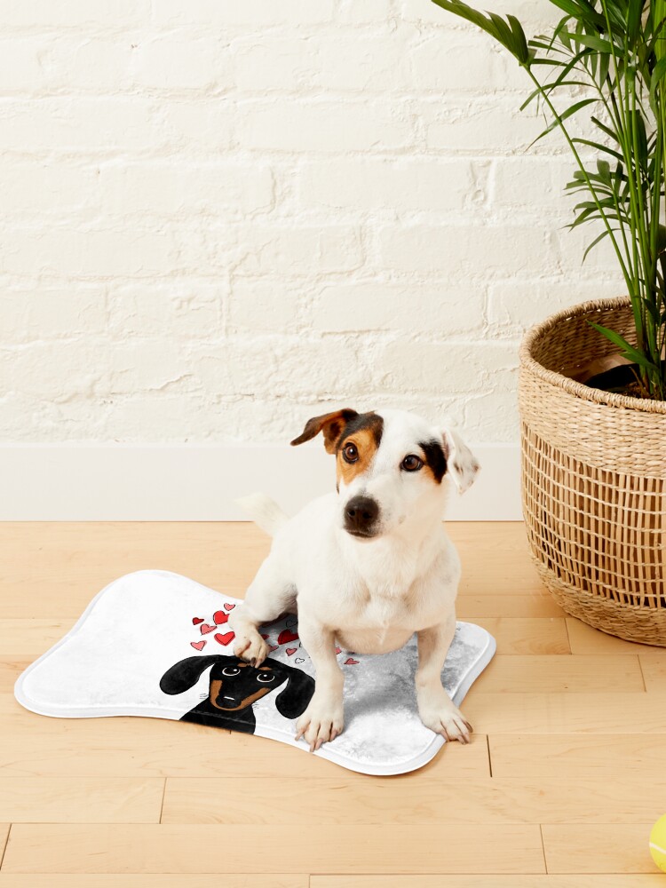Discover Dog- Pet Bowls Mat