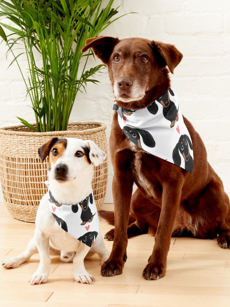 Alternate view of Black and Tan Dachshund with Heart | Cute Cartoon Wiener Dog Pet Bandana