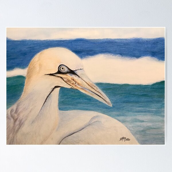 Item preview, Superb Gannet at the beach | beach lover designed and sold by NathBros.