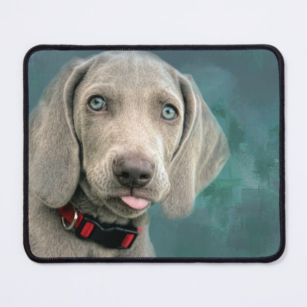 Item preview, Cute Weimaraner Puppy designed and sold by Elisabeth Lucas.