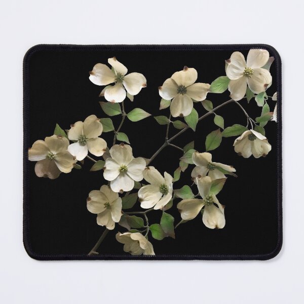 Item preview, white dogwood blossoms designed and sold by Candice Davis.