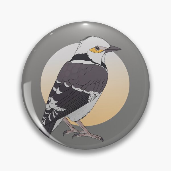 Item preview, Black collared starling designed and sold by DragonArtist15.