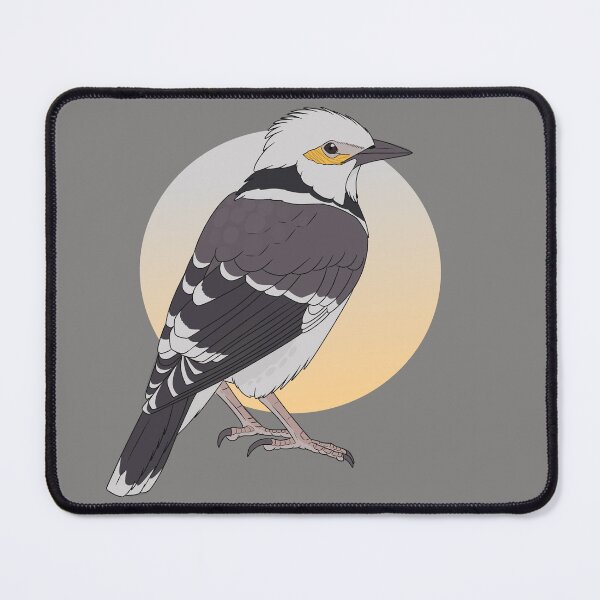 Item preview, Black collared starling designed and sold by DragonArtist15.