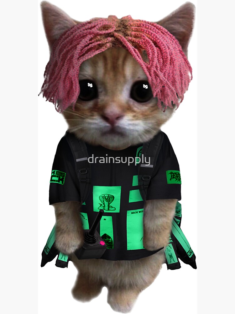 Ecco2k Kitty PELA