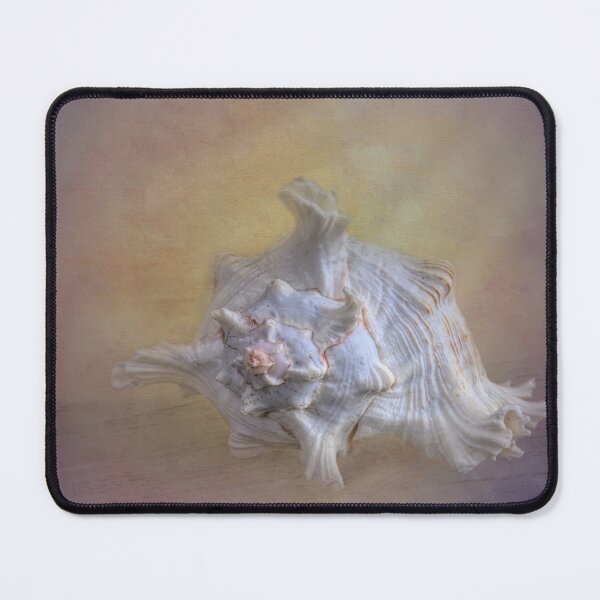 Item preview, Atlantic Sea Shell designed and sold by Elisabeth Lucas.