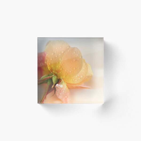 My Rose and Me Acrylic Block