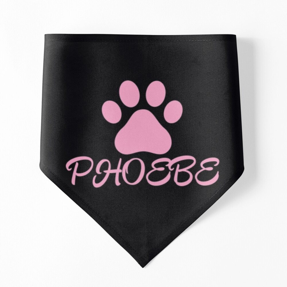Pink Cat Paw Phoebe  Canvas Print for Sale by Foofighter01 | Redbubble