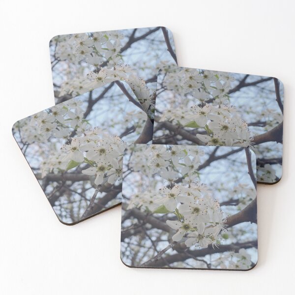 Item preview, Flowering Dogwood designed and sold by The Creature Feature.
